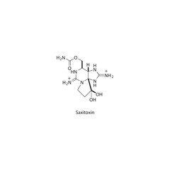 Wall Mural - Saxitoxin skeletal structure diagram. compound molecule scientific illustration.