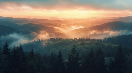 Wall Mural - Mountain Forest Landscape With Mist And A Sunrise Sky