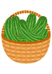 Canvas Print - Wicker brown basket full of fresh cucumbers