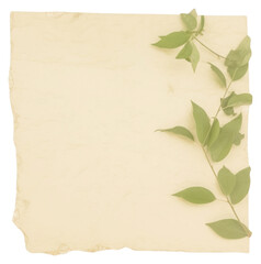 Sticker - PNG  Green botanical ripped paper backgrounds plant leaf.