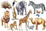 Set animals watercolor. Wildlife cute animal, Hand painted zoo clipart camel, kangaroo, lion, monkey, elephant and lemur