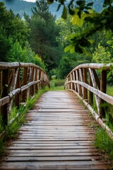 Wall Mural - Wooden Bridge Leading Through a Lush Forest