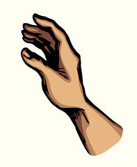 Sticker - Young human hand. Vector drawing