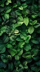 Wall Mural - Leaves, Wallpaper hd, Green image - generative ai