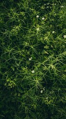 Wall Mural - Grass, Background, Floral background image wallpaper -  generative ai
