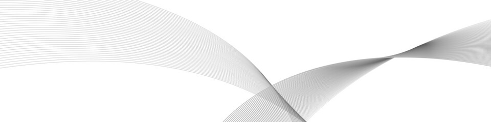 Poster - Vector lines background. Black and white abstract lines. Sound waves on transparent background for your design. Vector EPS 10