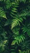 © Nia™ - Fern, Free wallpaper, Desktop backgrounds image - generative ai