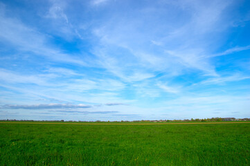 Canvas Print - Landscape of green meadow