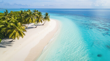 Maldives beach with palm trees and blue ocean on a bright sunny day. Aerial view.