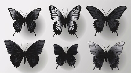 Wall Mural - Elegant black butterfly silhouettes, arranged horizontally on a white background