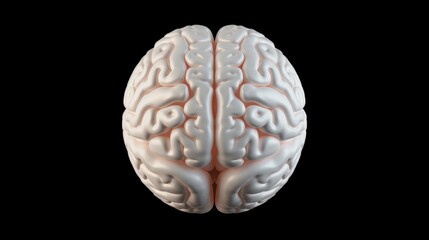 Aufkleber - A human brain 3D scan with an alpha circle, used in mindfulness or meditation apps to guide users towards mental clarity.