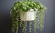 © Pumapala - Hanging Plant with White Buds and Green Leaves