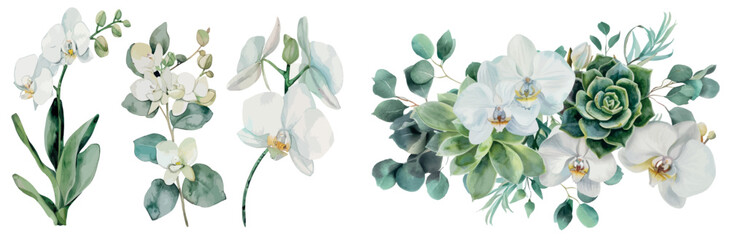 a botanical watercolor set with orchid flowers and succulent plants. ideal for wedding invitations, 