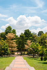 Canvas Print - Taman Putra Perdana green forest park in Putrajaya, Malaysia