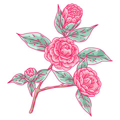 Wall Mural - Illustration of camellia branch. Beautiful decorative plant.