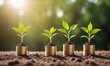 © junet - Young plants increase on sunny background. Growing money, finance and investment