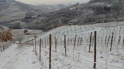 italian hill and vineyard frozen