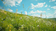 © Karolis - Tall grass and wildflowers sway gently on a lush meadow under a bright blue sky dotted with fluffy white clouds.
