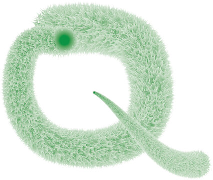 flurry effect p LOGO