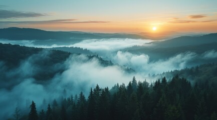 Wall Mural - Sunrise Over Foggy Mountains In A Coniferous Forest