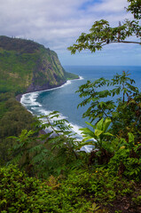 Beautiful, scenic view of lush, tropical Waipio Valley on the Big Island, Hawaii
