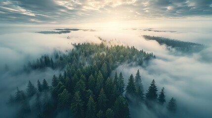 Poster - An endless forest of trees growing through a sea of clouds towards an infinite horizon, Insanely Detailed and Intricate. Aerial high view. Generative AI.