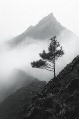 Poster - Minimalist depiction of a barcode mountain range,