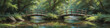© 4K_Heaven - A charming wooden bridge arching over a serene stream in a lush forest, depicted in thick oil layers to emphasize the vibrant foliage and tranquil water, Generative AI