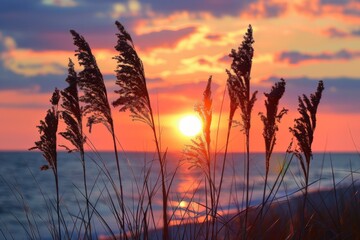 Wall Mural - Sunset Beach Grasses Silhouette