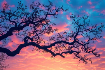 Wall Mural - Vibrant Sunset Sky with Silhouetted Tree Branches