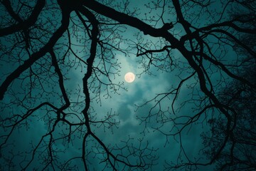 Wall Mural - Full Moon Through Tree Branches