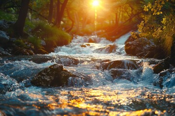 Wall Mural - Sunlit Forest Stream in Spring