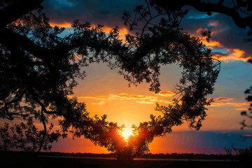 Wall Mural - Heart-shaped Tree Silhouette at Sunset