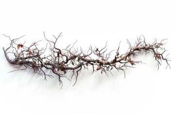 A close-up shot of a tree branch growing out of a wall, suitable for use in designs and compositions where natural elements are desired