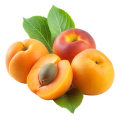 Wall Mural - apricot on a transparent background