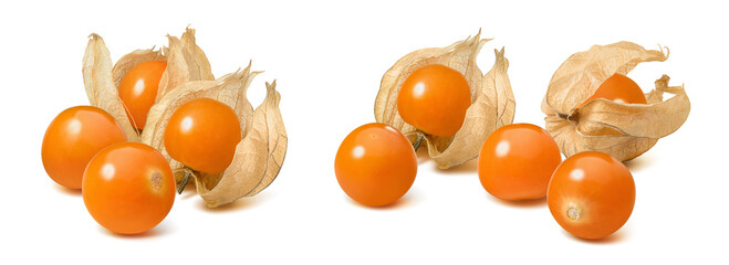 Wall Mural - Physalis or golden berries group set isolated on white background