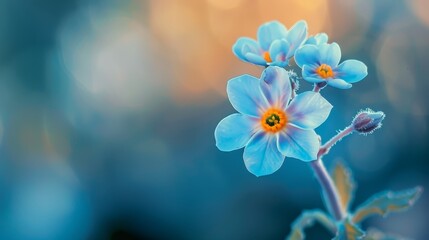 Wall Mural -  A detailed view of a blue bloom against a softly blurred background, featuring a yellow center at its heart