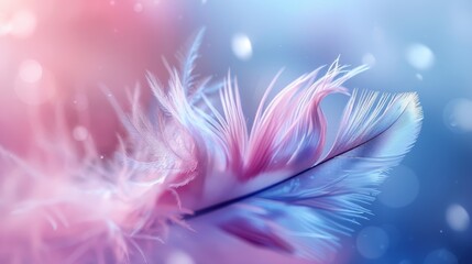 Wall Mural -  A tight shot of a pink-and-blue feather against a soft, blended backdrop of blue and pink, with a hazy, out-of-focus glow of light in