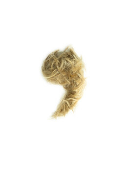 Creative typography made with real dog hair. Blonde hair on white background Dogs, cats, pets, monsters and other furry animals. Complete alphabet. comma