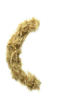 Creative typography made with real dog hair. Blonde hair on white background Dogs, cats, pets, monsters and other furry animals. Complete alphabet. close parenthesis