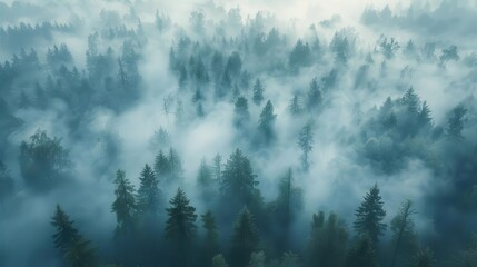 Wall Mural - dreamlike aerial view of misty forest with hidden magical creatures soft twilight colors and ethereal atmosphere create enchanting fantasy landscape