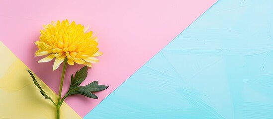 Poster - Summer-themed mockup with a blank Mother's Day greeting card featuring a yellow chrysanthemum on a colorful background, perfect for copy space images.