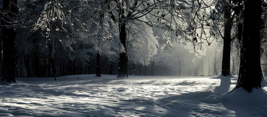 Wall Mural - Snow with dark shadows contrasting on top, creating a picturesque scene with plenty of copy space image.