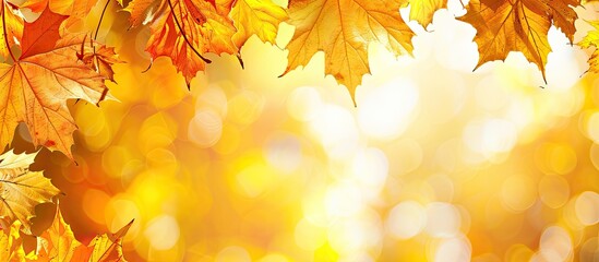 Poster - Ample space for text available in a picture showcasing vibrant golden autumn leaves.