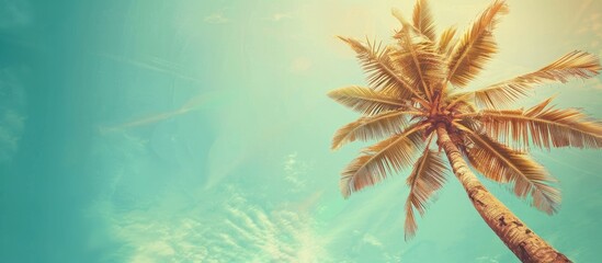 Sticker - Capturing a vacation vibe, a vintage-toned tropical palm tree against a sunny sky backdrop creates an ideal copy space image for travel and leisure concepts.