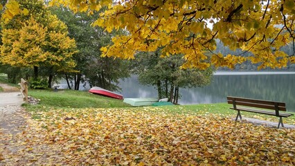 autumn in the park