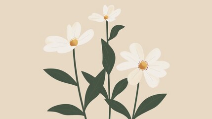 Wall Mural - A simple illustration of three white daisies with green leaves on a beige background