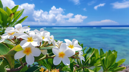 A blooming frangipani tree against the backdrop of a sandy beach and crystal clear turquoise ocean