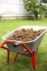 Wall Mural - Wheelbarrow with soil on green grass outdoors, closeup