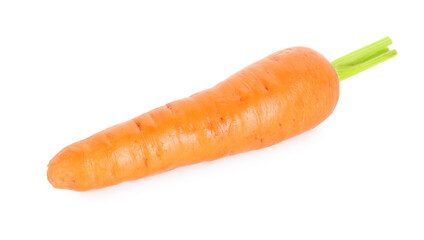 Sticker - One fresh ripe carrot isolated on white